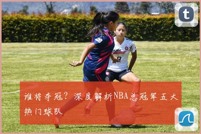 谁将夺冠？深度解析NBA总冠军五大热门球队